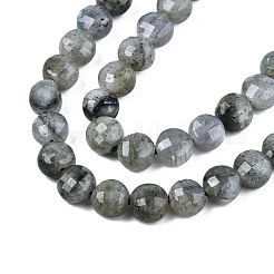 Natural Labradorite Beads Strands&nbsp;G-S354-24-A