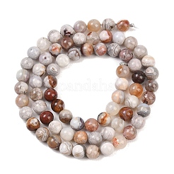 Natural Mexican Agate Beads Strands&nbsp;G-G345-B01-6mm