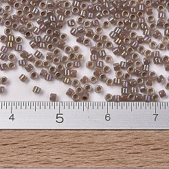 MIYUKI Delica Beads&nbsp;SEED-MY11-DB1749