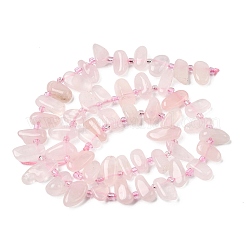 Natural Rose Quartz Beads Strands&nbsp;G-L649-D04-02