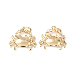 Brass Pendants&nbsp;KK-C143-46G-G