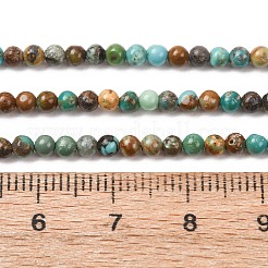 Natural HuBei Turquoise Beads Strands&nbsp;G-H358-A09-3mm-01