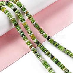 Natural Serpentine Jade Beads Strands&nbsp;G-F727-01