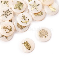 22Pcs 11 Styles Natural Freshwater Shell Pendants&nbsp;SHEL-FS0001-14