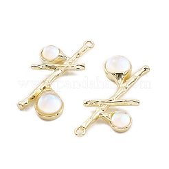 Resin Pendants&nbsp;PALLOY-K003-22LG-02