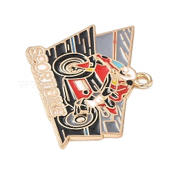 Sports Alloy Enamel Pendants&nbsp;ENAM-I074-01G-14