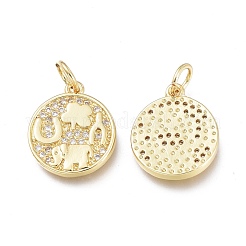 Brass Micro Pave Clear Cubic Zirconia Charms&nbsp;ZIRC-L076-050G