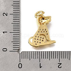 Brass Micro Pave Clear Cubic Zirconia Pendants&nbsp;KK-F899-02A-G