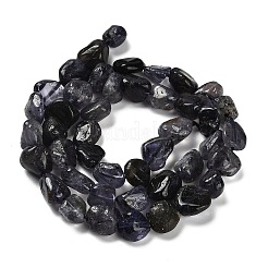 Natural Iolite Beads Strands&nbsp;G-P497-01E-01