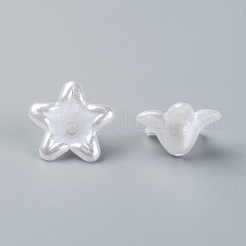 Acrylic Beads&nbsp;PL128Y-3