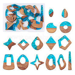 30Pcs 15 Style Transparent Resin & Walnut Wood Pendants&nbsp;RESI-FW0001-01