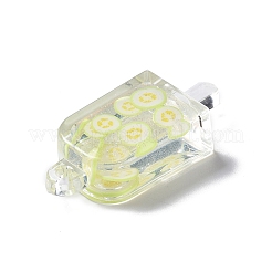 Transparent Resin Pendants&nbsp;RESI-D057-17