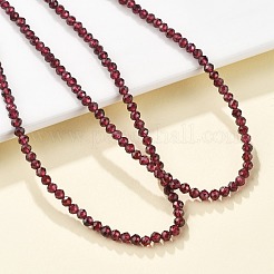 Natural Garnet Beaded Necklaces&nbsp;NJEW-K114-B-A04