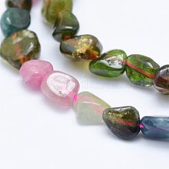 Natural Multicolor Tourmaline Beads Strands&nbsp;G-K203-39B