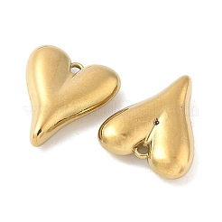 304 Stainless Steel Pendants&nbsp;STAS-L293-12G
