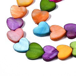 Natural Freshwater Shell Beads Strands&nbsp;SHEL-Q024-002
