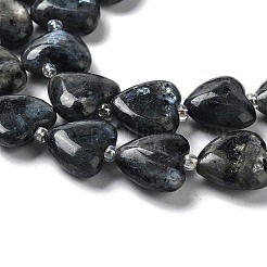 Natural Larvikite Beads Strands&nbsp;G-E614-A24-01