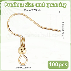 100Pcs 316 Surgical Stainless Steel French Hooks with Coil and Ball&nbsp;STAS-HY0001-69