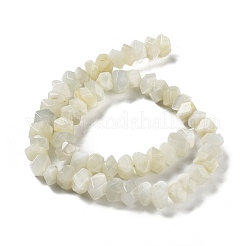 Natural White Moonstone Beads Strands&nbsp;G-D091-A11