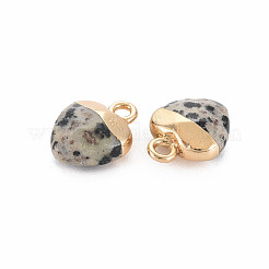 Natural Dalmatian Jasper Charms&nbsp;LS-G-N326-121-01