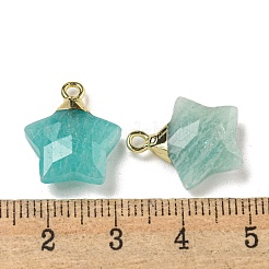 Natural Amazonite Pendants&nbsp;G-P540-01G-03