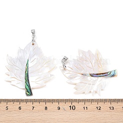 Natural Paua Shell & White Shell Pendants&nbsp;KK-C135-03P