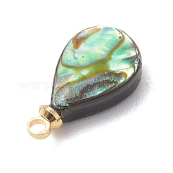Natural Paua Shell Charms&nbsp;PALLOY-JF05129-02