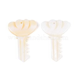 Natural Freshwater Shell Pendants&nbsp;SHEL-T020-61