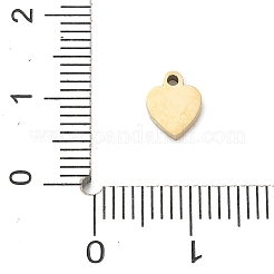 304 Stainless Steel Charms&nbsp;SA-CBA2C9D-02G
