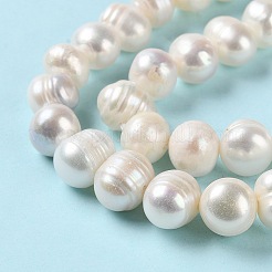 Natural Cultured Freshwater Pearl Beads Strands&nbsp;PEAR-E018-14