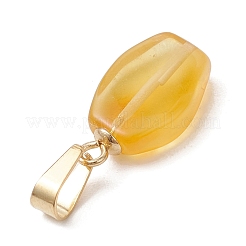 Gradient Color Natural Amber Pendants&nbsp;PALLOY-JF04930-02