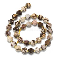 Natural Zebra Jasper Beads Strands&nbsp;G-I376-A33-01