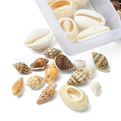 6 Styles Natural Mixed Cowrie Shell Beads Sets&nbsp;BSHE-YW0001-05