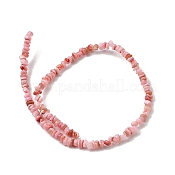 Natural Freshwater Shell Beads&nbsp;SHEL-B003-01N