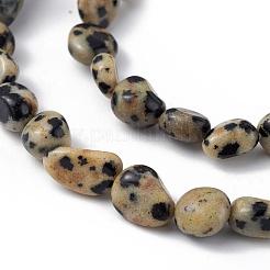 Natural Dalmatian Jasper Beads Strands&nbsp;G-B039-03B