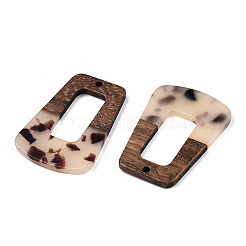 Transparent Resin & Walnut Wood Pendants&nbsp;RESI-TAC0017-72-B02