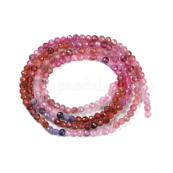 Natural Colorful Spinel Beads Strands&nbsp;G-P553-G03-01