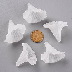 Transparent Frosted Acrylic Flower Beads&nbsp;X-BSF796