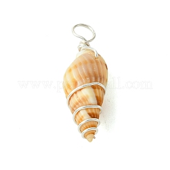 Natural Spiral Shell Pendants&nbsp;PALLOY-JF02793-02