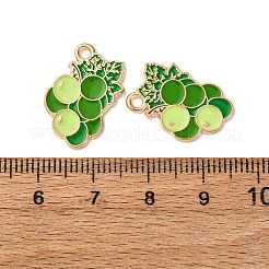 Fruits Alloy Enamel Pendants&nbsp;FIND-D304-03M-KCG