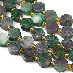 Dyed Natural Fuchsite Beads Strands&nbsp;G-F833-B04-01