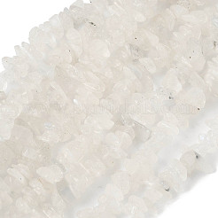 Natural Rainbow Moonstone Chip Beads Strands&nbsp;G-C195-01
