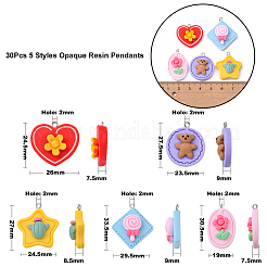 30Pcs 5 Styles Opaque Resin Pendants&nbsp;RESI-CJ0002-30