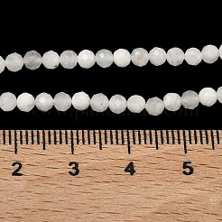 Natural Rainbow Moonstone Beads Strands&nbsp;G-B168-A11-3mm