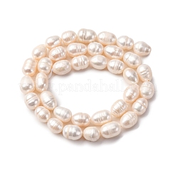 Natural Cultured Freshwater Pearl Beads Strands&nbsp;PEAR-L001-A-20
