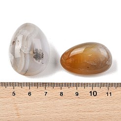 Natural Ocean Jasper Beads&nbsp;G-G348-01B-38