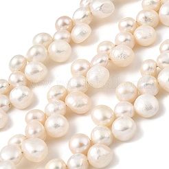 Natural Cultured Freshwater Pearl Beads Strands&nbsp;PEAR-I007-03F-01