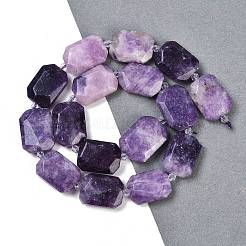 Natural Lepidolite Beads Strands&nbsp;G-B125-P25-01