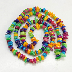 Natural Shell Beads Strands&nbsp;X-BSHE-D004-2