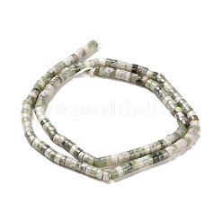 Natural Peace Jade Beads Strands&nbsp;G-R437-06